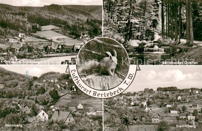 Berlebeck Detmold Lippe NRW Panorama Blick vom Hahnberg Eichhoernchen Quellen S – Ansichtskarte Detmold
