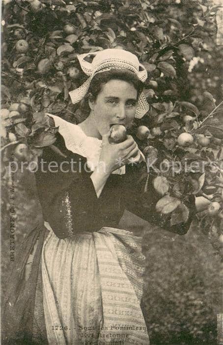 Fotografie 1726 E. Hamonic Bretagne – Ansichtskarte