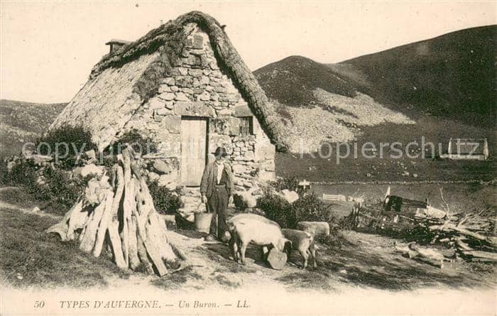 Schaeferei Landwirtschaft Types D auvergne – Ansichtskarte