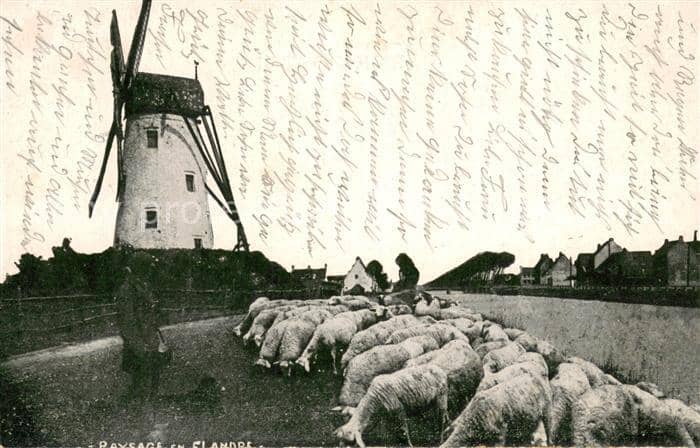 Schaeferei Landwirtschaft West vlaanderen – Ansichtskarte