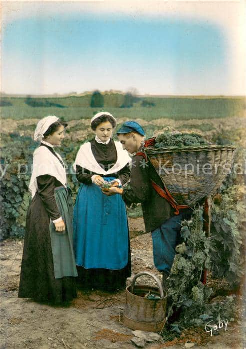 Weinberge foto:Gaby Au Jardin de la France – Ansichtskarte