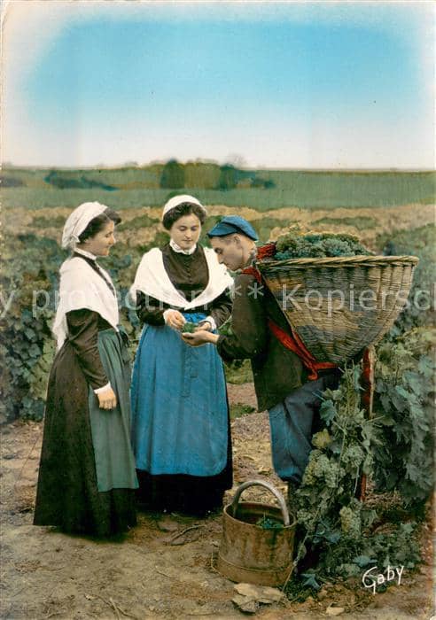 Weinberge foto:Gaby Au Jardin la France – Ansichtskarte