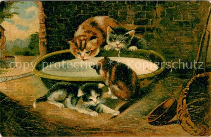 Katzen Katze mit Kaetschen beim essen – Ansichtskarte