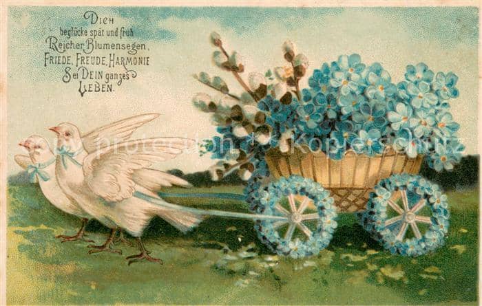 Tauben Blumensegen – Ansichtskarte