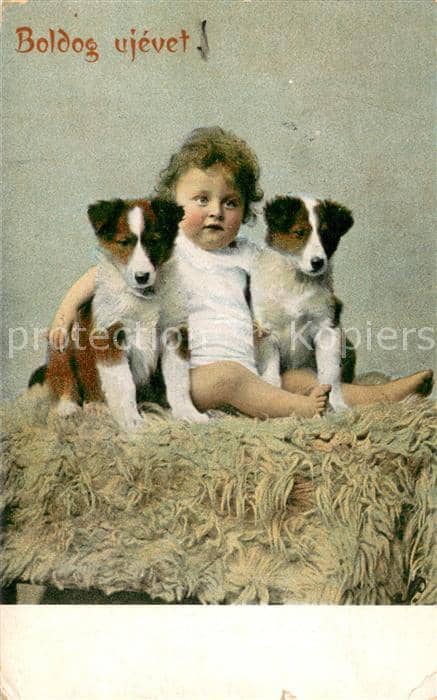HUNDE dogs chiens-- Boldog vjevet – Ansichtskarte