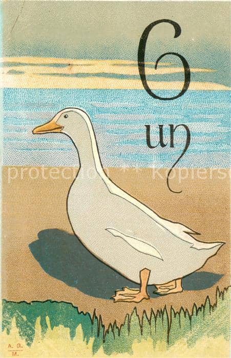 Gefluegel Litho Gans – Ansichtskarte