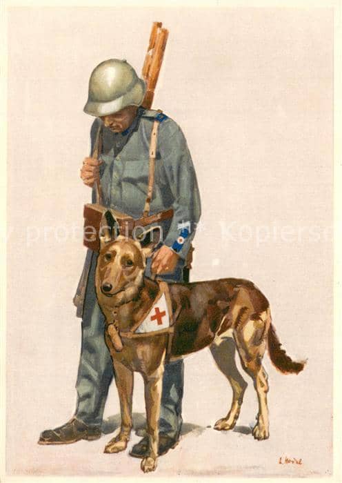 Schaeferhunde Bundesfeier 1937 – Ansichtskarte