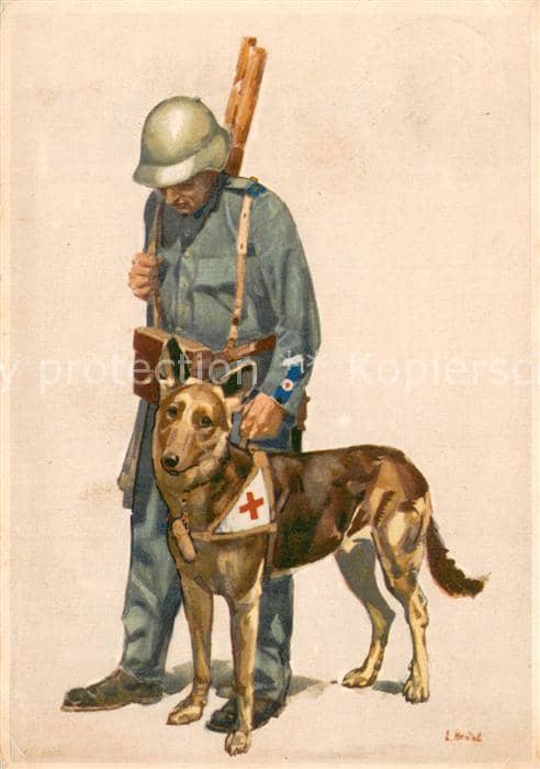 Schaeferhunde 1937  Fuer die Schweizerische Rote Kreuz – Ansichtskarte