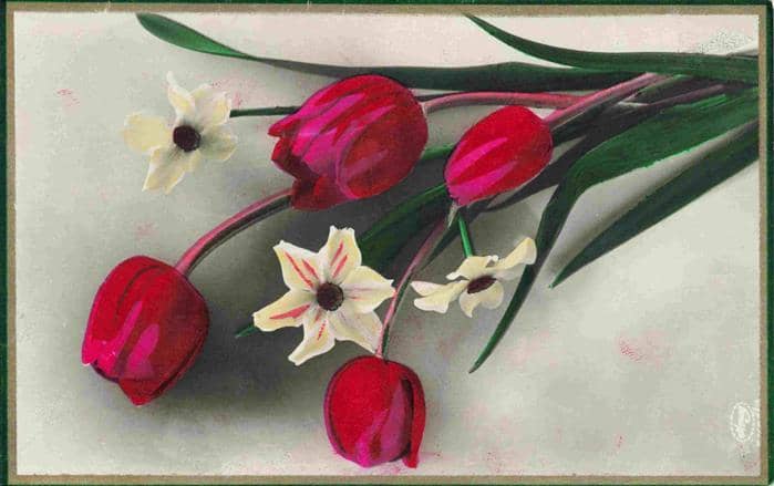 Foto Amag Nr. Tulpen Narzisen Blümen – Ansichtskarte