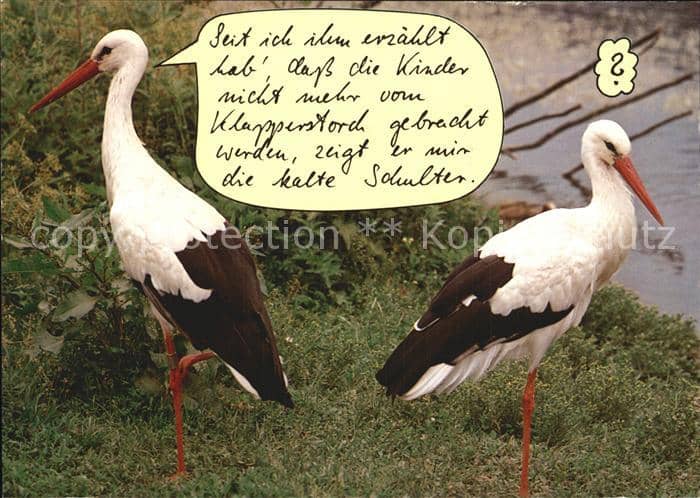 Storch Humor – Ansichtskarte
