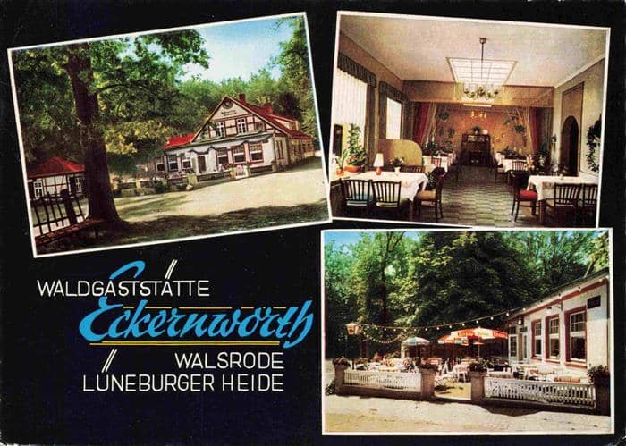 Walsrode Lueneburger Heide Waldgaststaette Eckernworth Gastraum Terrasse – Ansichtskarte Walsrode