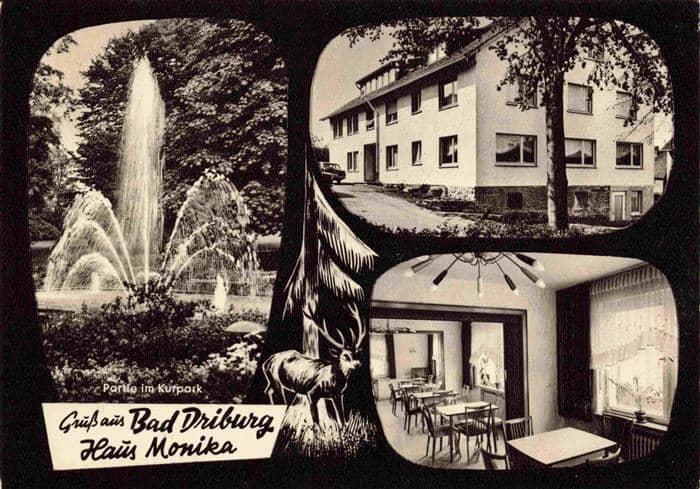 BAD DRIBURG Haus Monika Partie im Kurpark Gaststube – Ansichtskarte Bad Driburg