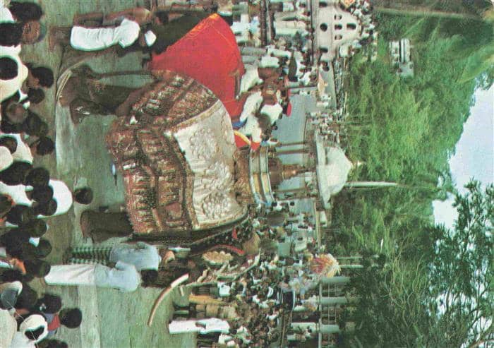 Elefant Kandy Sri Lanka – Ansichtskarte