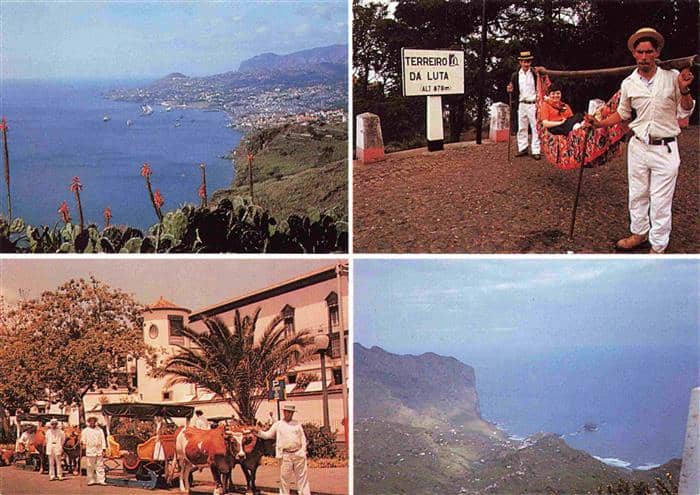 Madeira  Portugal Panorama Torreiro da Luta – Ansichtskarte Madeira