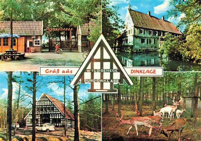 Dinklage Wildgehege Burg-Dinklage – Ansichtskarte Dinklage