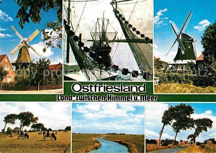 Ostfriesland Windmühlen Fischerboot Viehweide Landsc – Ansichtskarte