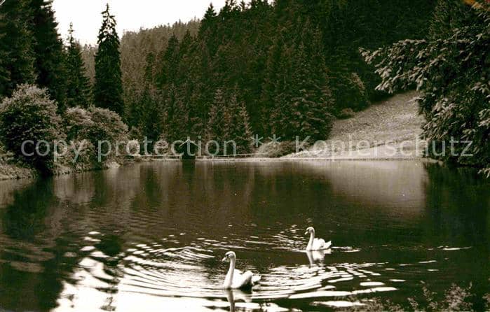 Frankenwald Region Kleiner Waldsee im Rodachtal – Ansichtskarte