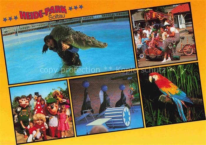 Soltau Soltau-Fallingbostel Niedersachsen Heide-Park Krokodil Papagei Seerobbe M – Ansichtskarte Soltau