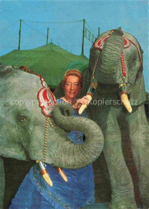 Elefant Frieda Krone Sembach Circus Leila Taku – Ansichtskarte