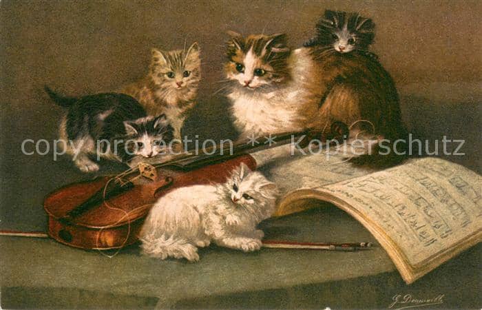 Geige Katzen Geige – Ansichtskarte