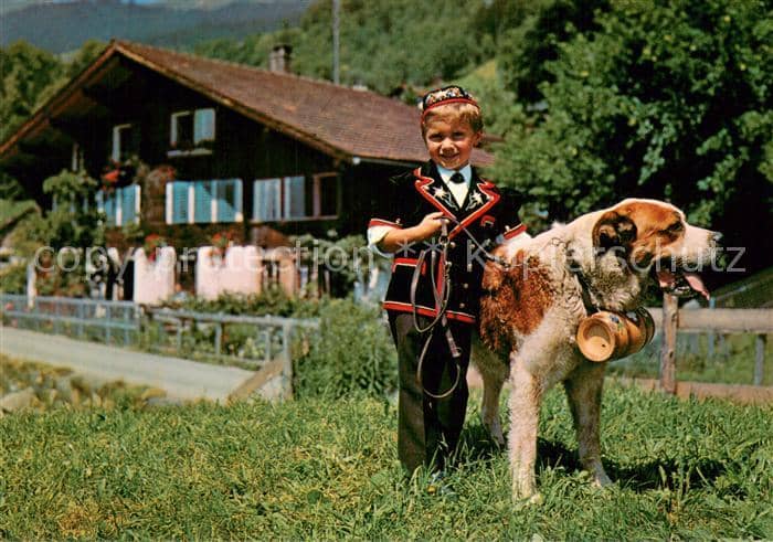 Trachten Schweiz Bernhardiner – Ansichtskarte