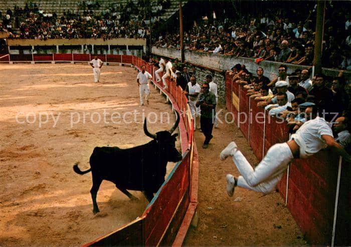 Stierkampf Corrida de Toros Bullfight La Course Libre de Taureaux – Ansichtskarte