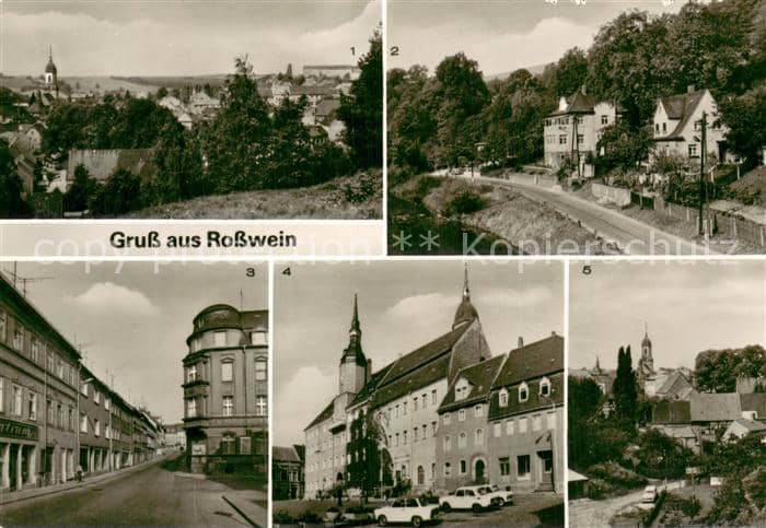 Rosswein Sachsen Blick von der Wunderburg Talbad Dresdner Strasse Markt – Ansichtskarte Rosswein