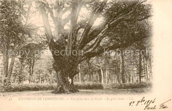 Baeume Trees Arbres Arboles Environs de compiegne le gros chêne – Ansichtskarte