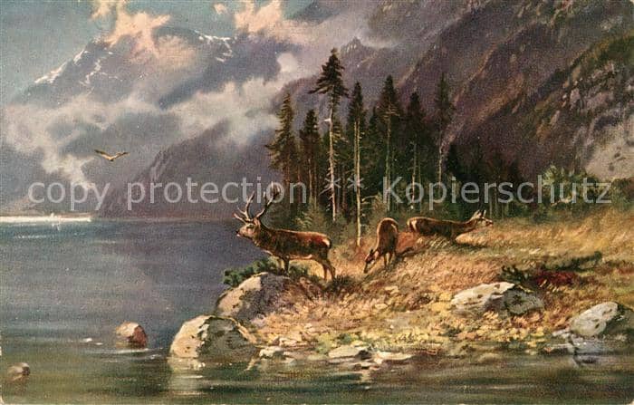 Hirsch Künstlerkarte Natur See – Ansichtskarte