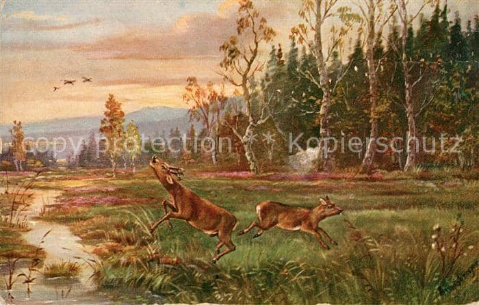 Hirsch Künstlerkarte – Ansichtskarte