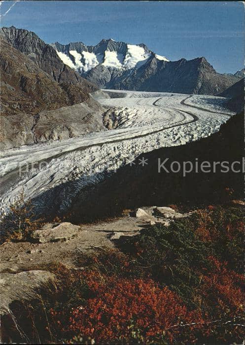 Gletscher Aletsch Aletschwald Wannenhorn – Ansichtskarte