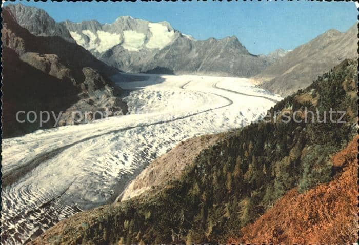 Gletscher Aletsch Aletschwald – Ansichtskarte