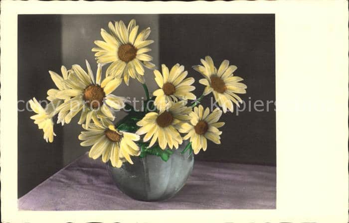 Foto PH Nr. 332 Margeriten Vase – Ansichtskarte