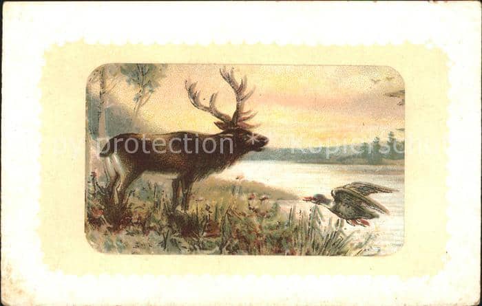 Hirsch Ente Litho – Ansichtskarte