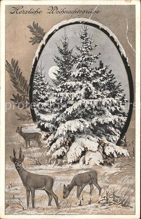 Hirsch Rehe Tannenbaum Weihnachten – Ansichtskarte