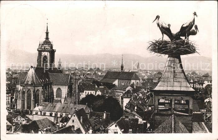 Storch Colmar Nid de Cigognes – Ansichtskarte