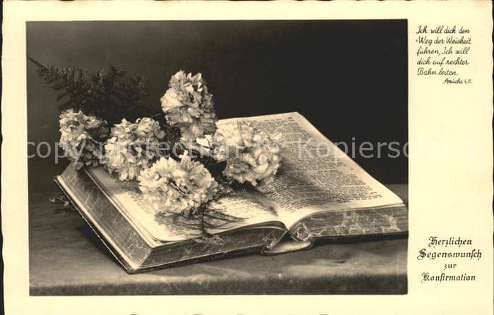 Foto PH Nr. 1008 Konfirmation Bibel Nelken – Ansichtskarte