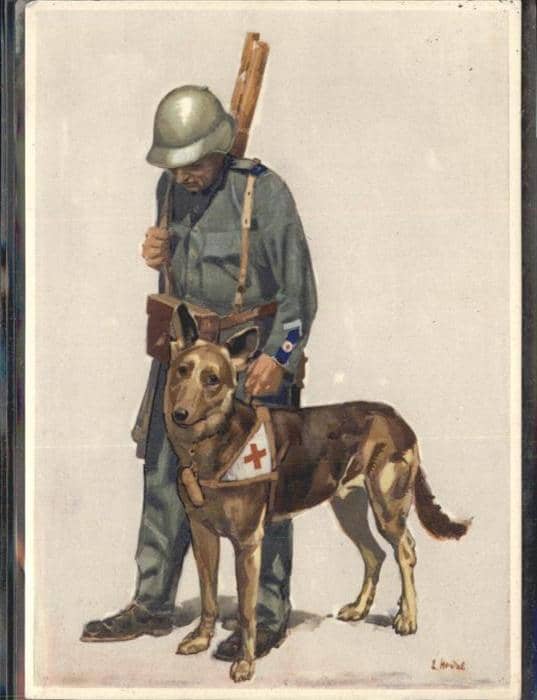 Rotes Kreuz Soldat Hund Bundesfeier Schweiz – Képeslap