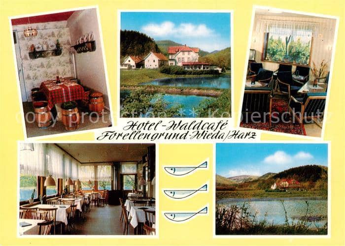 Wieda Osterode Harz Niedersachsen Hotel WaldCafe Forellengrund Restaurant Forell – Ansichtskarte Wieda