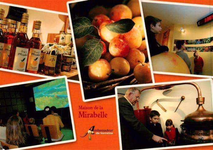 Schnaps Brandy Eau-de-Vie Aguardiente-- Mirabelle – Ansichtskarte