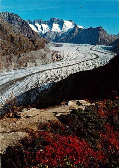 Gletscher Glacier Glaciar Aletschwald Wannenhorn – Ansichtskarte