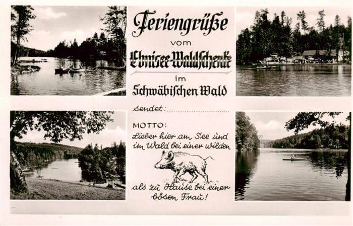 Ebnisee Welzheim Seepanorama Ebnisee Waldschenke – Ansichtskarte Welzheim