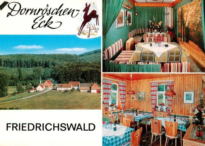 Friedrichswald Rinteln Dornroeschen-Eck Waldgasthaus und Pension – Ansichtskarte Rinteln