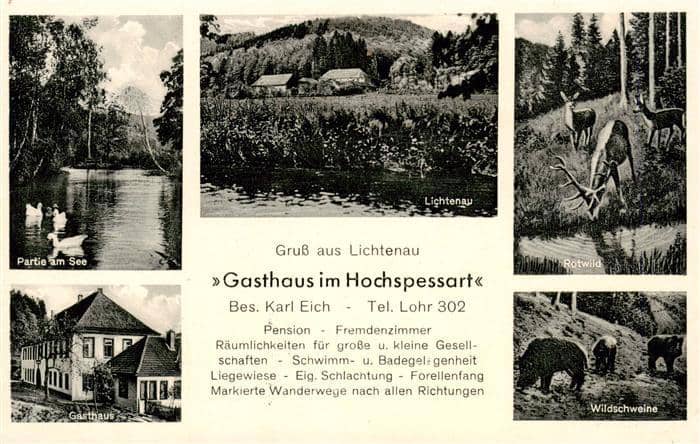 Lichtenau Spessart Gasthaus im Hochspessart Partie am See Wildschweine Rotwild – Ansichtskarte Rothenbuch
