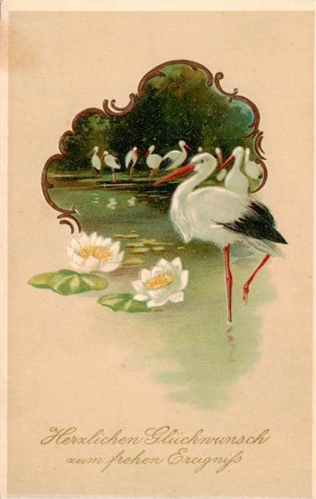 Storch Stork Cigogne Ciguena Glueckwunsch – Ansichtskarte