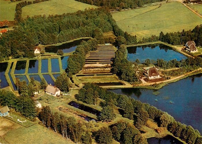 Soltau Forellenzucht Spiekerhof Fliegeraufnahme – Ansichtskarte Soltau