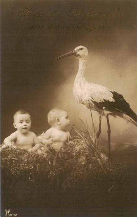 Storch Stork Cigogne Ciguena G.G.Co Nr 2381/2 Babys – Ansichtskarte