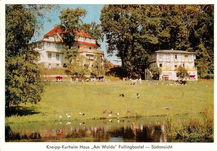 Bad Fallingbostel Kneipp-Kurheim Haus-Am-Walde Lueneburger-Heide Teich Wald Ente – Ansichtskarte Bad Fallingbostel