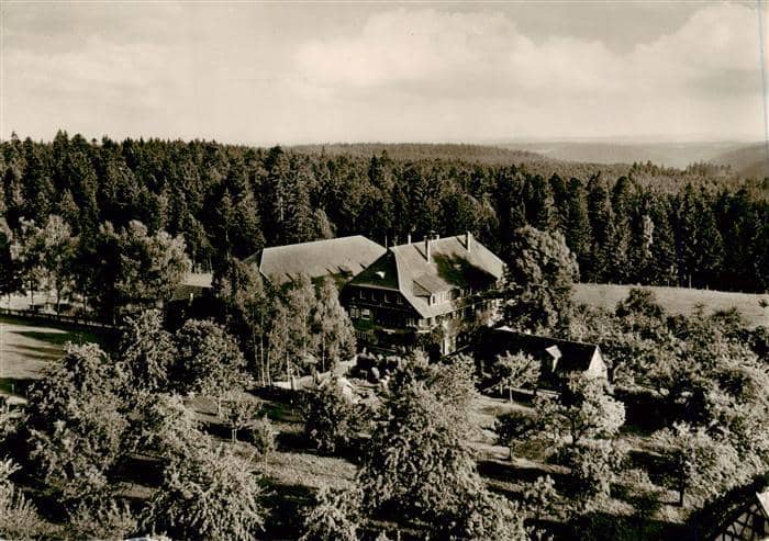 Oedenwald FREUDENSTADT BW Adrionshof Schwarzwald-Gasthof Pension Wald Tannen Pan – Ansichtskarte Freudenstadt