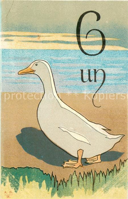 Gefluegel Litho Gans – الوجه الأمامي